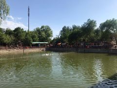 -尚庄度假村·庭台树下·户外烧烤·团建CS·轰趴营地(上庄水库店)