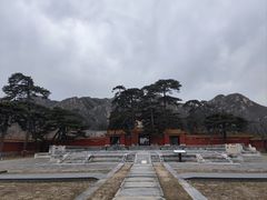 -康陵正德春饼宴26号