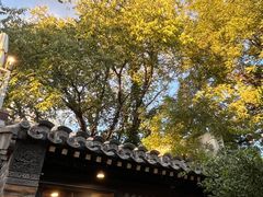 -四喜小胖·北京涮肉(五道营店)