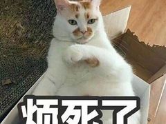 -笑来喜馄饨小笼工坊店(湖滨街店)