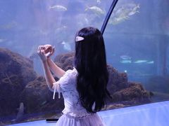 -重庆欢乐海底世界