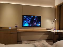 -深圳国际会展中心希尔顿酒店(前海华发冰雪世界店)