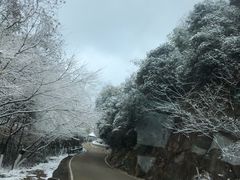 -莫干山风景区