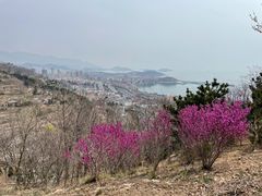 -石老人观光园