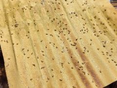 -勃利地摊·勃立小串烧烤