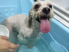 -汪星球宠物生活馆