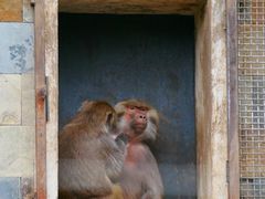 -哈尔滨北方森林动物园