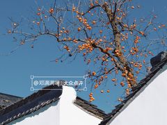 -北寺塔