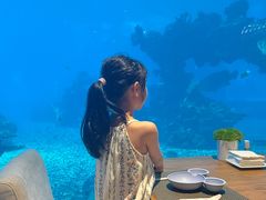 -涛·海底餐厅·美人鱼·自助餐·海底隧道(三亚海棠湾洲际度假酒店)