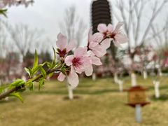 -西海子公园