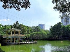 -晓港公园
