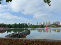 -青枫公园