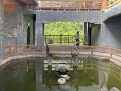 -蝶舞清江·恩施云顶景区(黄鹤峰林)