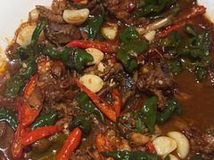 -杨氏青龙虾·羊蝎子(托乐嘉店)