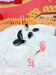 -第五极儿童乐园
