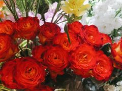 -向花仕Bloomy Life咖啡鲜花(益田假日店)