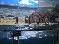 -福州罗源湾海洋世界旅游区