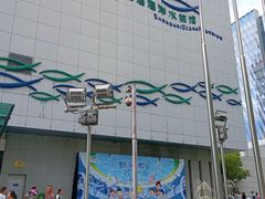 -上海海洋水族馆