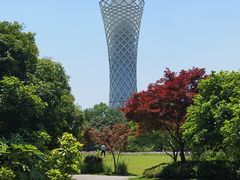 -上海滨江森林公园