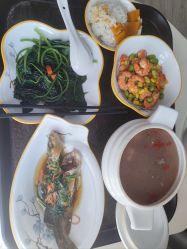 -俏妈咪月子会所