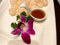 -锦江都城闵行饭店