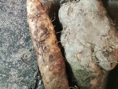 山药-抚仙湖生态石锅鱼野生菌(告庄店)