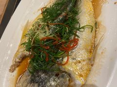 清蒸大黄鱼-正斗·港式粤菜(SKLP店)