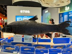 -千岛湖鱼味馆(十字街总店)