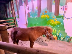 -正佳雨林生态植物园