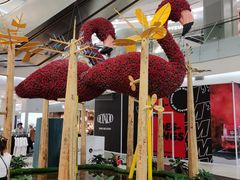 -凯德广场(学府店)