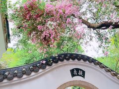 -深圳国际园林花卉博览园