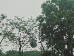 -广州市白云山风景名胜区
