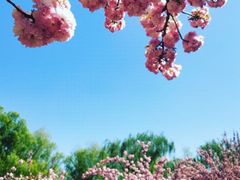 -莲花池公园