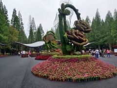 -东平国家森林公园