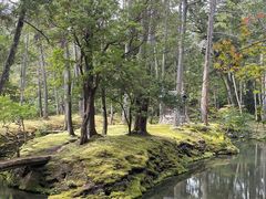 -西芳寺(苔寺)