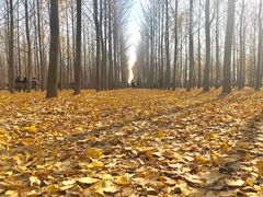 -汉景帝阳陵博物院