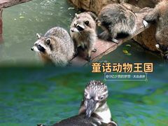 -长鹿旅游休博园