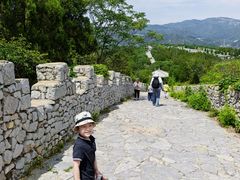 -原山国家森林公园