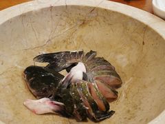 -云中鱼蒸汽石锅鱼(川沙百联店)