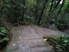 -广州市帽峰山景区