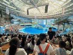 -海合安成都极地海洋公园
