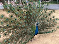 -杭州野生动物世界