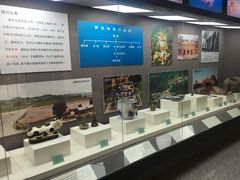 -东北民族民俗博物馆