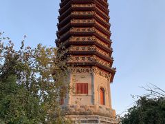 -西海子公园