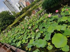 -荣誉国宴楼(美食城店)