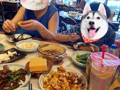 -小吊梨汤·北京菜·烤鸭(鸟巢店)