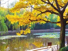 -八大关景区