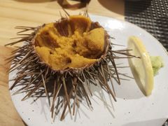 时令活海胆-泉寿司(万科公园店)