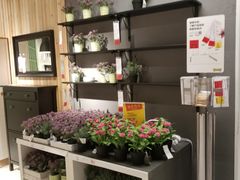 -宜家家居(哈尔滨商场店)