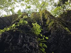 -山王坪喀斯特国家生态公园